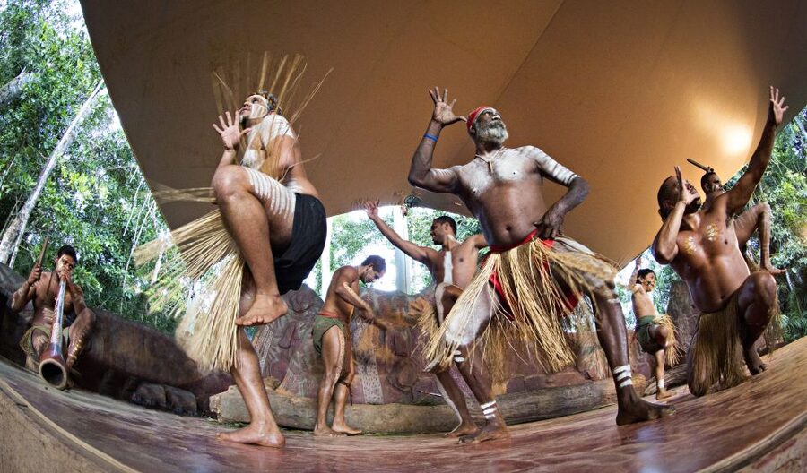 Kuranda Pamagirri Aboriginal Premium Full-Day Tour - Pamagirri Rainforest Walkabout: traditions, manhood, and bush tucker