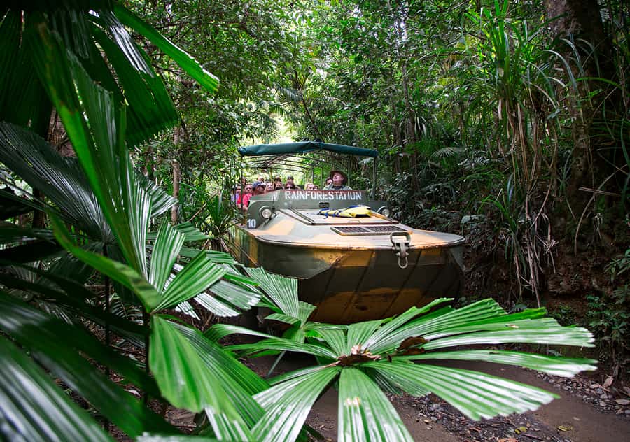 Kuranda: Rainforestation Nature Park - Entering the World Heritage rainforest, without losing the plot