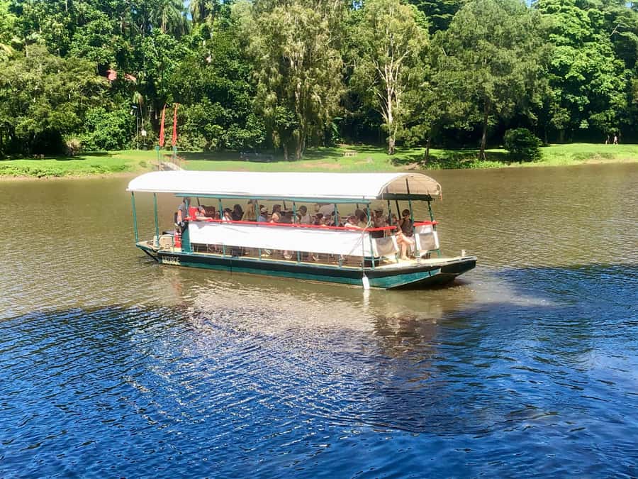 Kuranda: Riverboat Tour - Getting to Kuranda Riverboat, the part that saves time