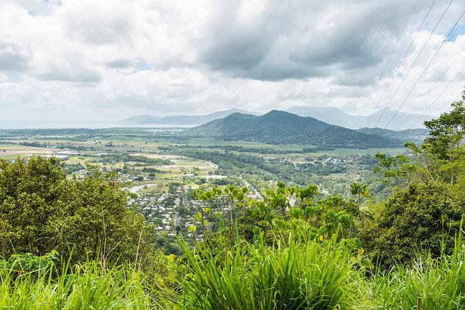Kuranda Scenic Railway Day Trip from Cairns - Skyrail Rainforest Cableway: what you actually get for 1.5 hours