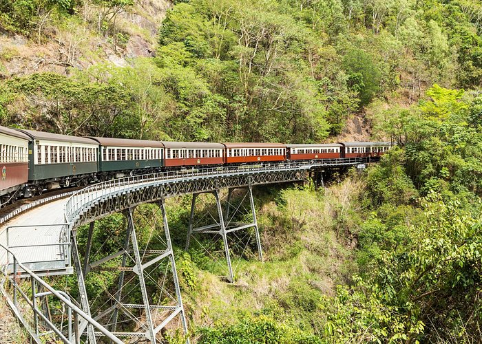 Kuranda Scenic Railway Day Trip from Cairns - Kuranda village time and the wildlife add-ons you choose