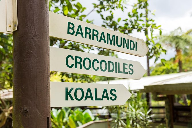 Kuranda Scenic Railway Day Trip from Cairns - Value and who this tour fits best for