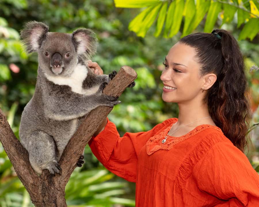 Kuranda Wildlife Experience: Koalas, Birds & Butterflies - Where to start: check in at Kuranda Koala Gardens