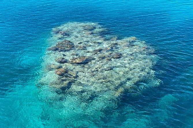 Lady Musgrave Day Trip from Bundaberg Including Snorkeling - The glass-bottom boat tour, Reef viewing without the struggle