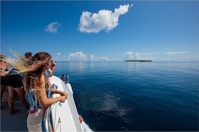 Lady Musgrave Day Trip from Bundaberg Including Snorkeling - Price and value: is $240.64 per person worth it?