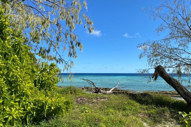 Lady Musgrave Day Trip from Bundaberg Including Snorkeling - Who should book this Lady Musgrave trip