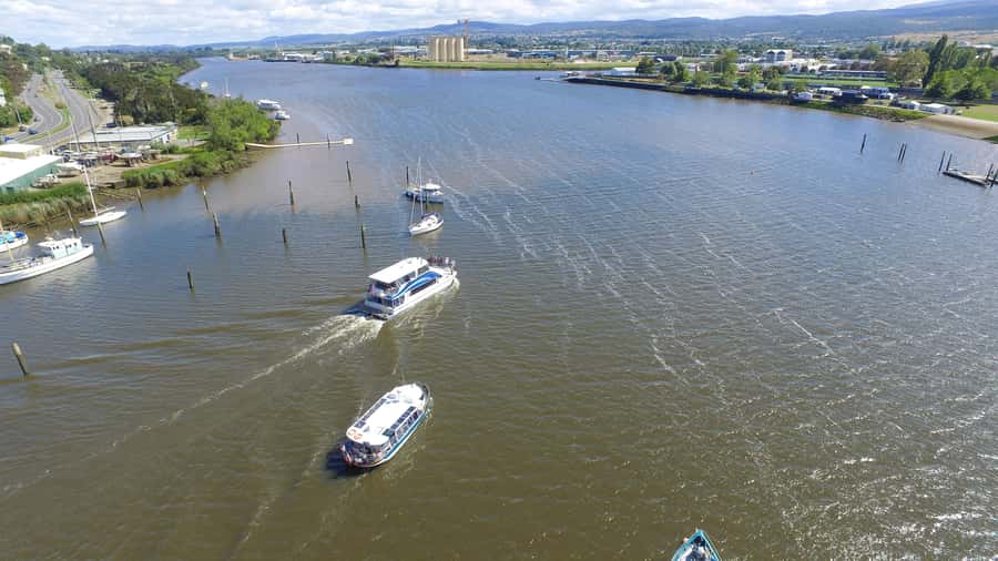 Launceston: 2.5-Hour Afternoon Discovery Cruise - Tamar Island and the Launceston riverfront: the easy way to learn the city