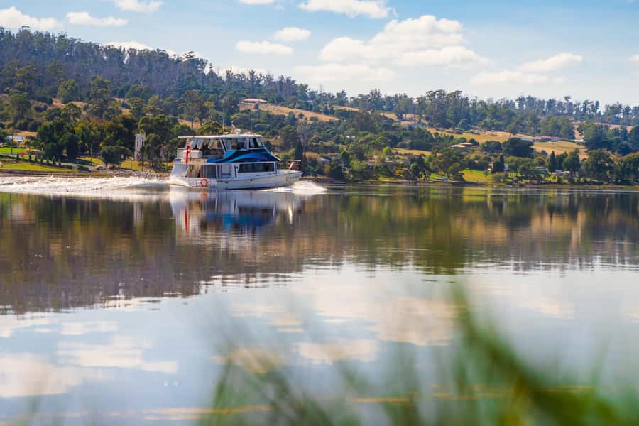 Launceston: 4-Hour Batman Bridge Luncheon Cruise - The onboard meal plan: morning tea, lunch, and cheese with tastings