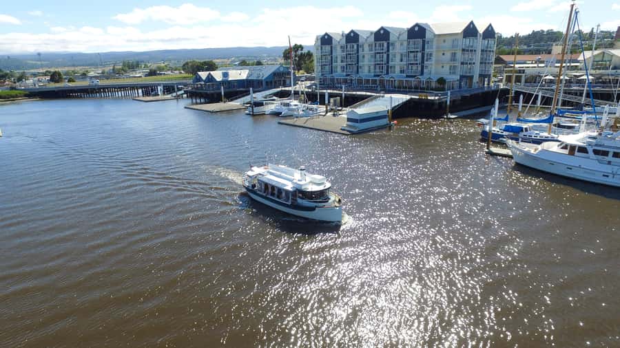 Launceston: 50-Minute Cataract Gorge Cruise - First moments: finding the cruise vibe at the terminal