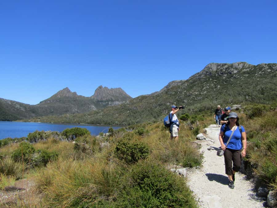 Launceston: Cradle Mountain Guided Active Day Trip - Price and value, is $123 fair for this kind of day?