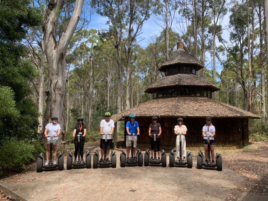 Launceston: Hollybank Forest Guided Segway Tour with Photos - Price of $77: What You Are Paying For