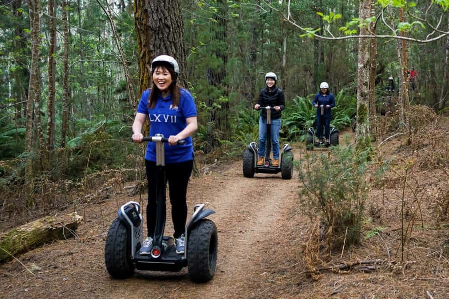 Launceston: Hollybank Forest Guided Segway Tour with Photos - Your 90 Minutes Starts With Training and Safety