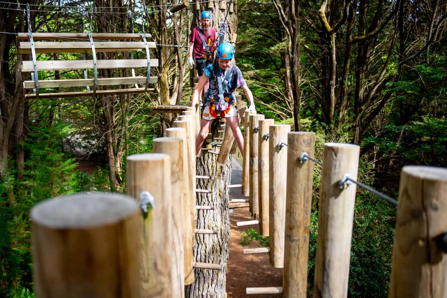 Launceston: Hollybank Tree Ropes Course - Where Hollybank fits in Northern Tasmania