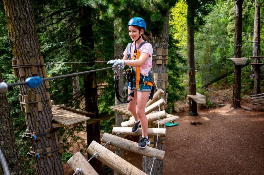 Launceston: Hollybank Tree Ropes Course - Nature time, not just adrenaline