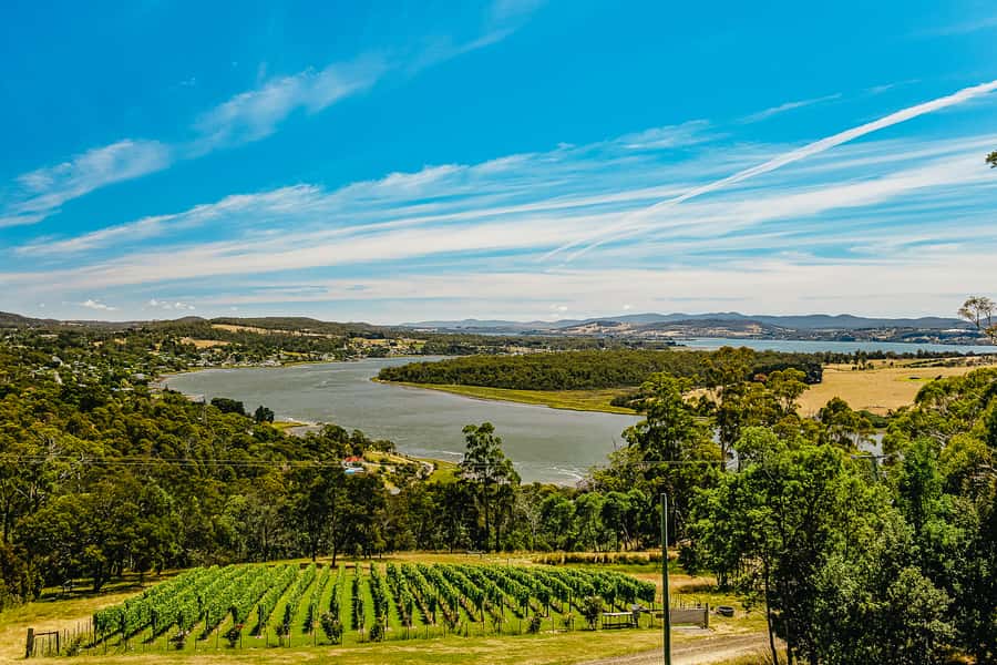 Launceston: Tamar Valley Wine Tour with Lunch - Launceston Pickup And The Day’s Practical Rhythm