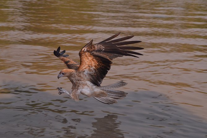 Litchfield and Jumping Crocodiles Full Day Trip from Darwin - Wangi Falls swim time and the picnic lunch reality check