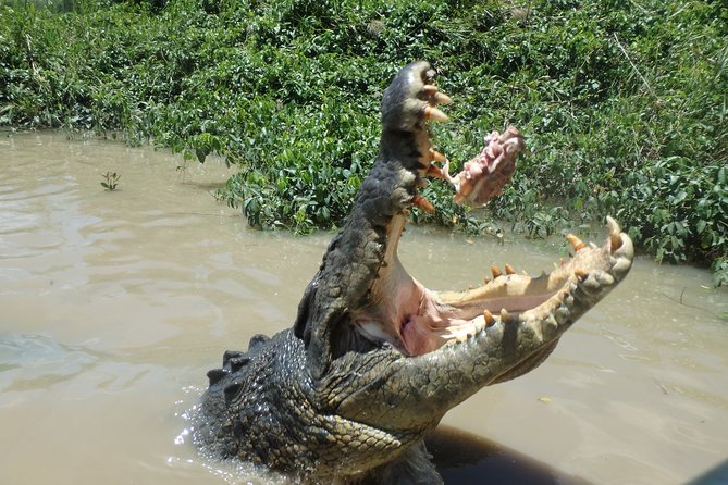 Litchfield and Jumping Crocodiles Full Day Trip from Darwin - The champagne and sunset send-off back in Darwin