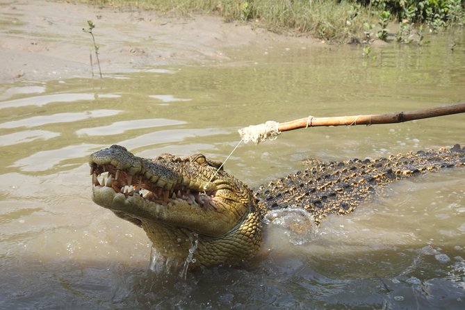 Litchfield and Jumping Crocodiles Full Day Trip from Darwin - Litchfield National Park: waterfalls, termite mounds, and the best kind of walking