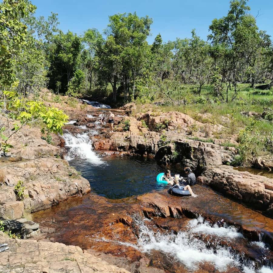 Litchfield & Berry Springs, Premium tour, 10 guests & lunch - Key highlights to look for