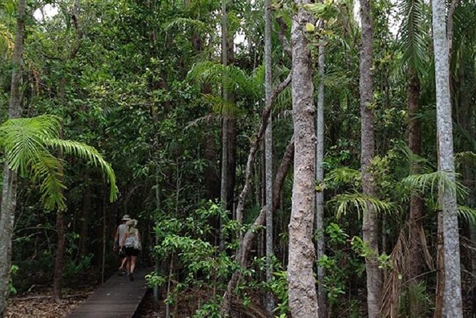 Litchfield National Park and Jumping Crocodile Cruise - Key things that make this day tour worth it