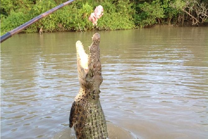 Litchfield National Park and Jumping Crocodile Cruise - Magnetic termite mounds and Batchelor: small stops that add local texture