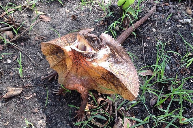Litchfield National Park and Jumping Crocodile Cruise - Lunch, snacks, and the small comforts that make a long day easier