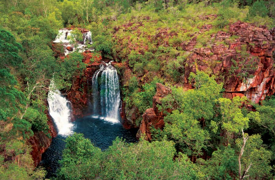 Litchfield National Park: Full-Day & Lunch from Darwin - Lunch during the Litchfield day: included, simple, and timing-based
