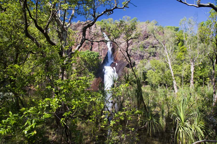Litchfield National Park: Full-Day & Lunch from Darwin - Should you book the Litchfield full-day coach tour from Darwin?