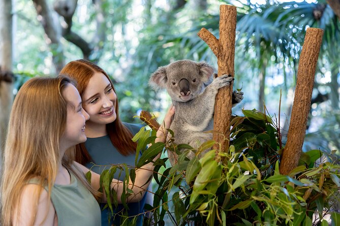 Lone Pine Koala Sanctuary Day Pass - Lone Pine Koala Sanctuary, close enough for a stress-free day trip
