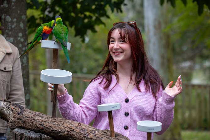 Lone Pine Koala Sanctuary Day Pass - How long to plan: 2 to 5 hours, and how to fit it
