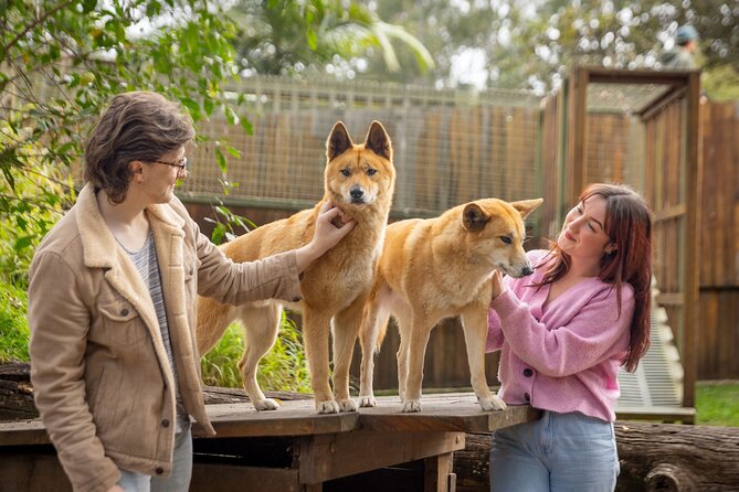 Lone Pine Koala Sanctuary Day Pass - Entering the sanctuary: where the animals pull you in