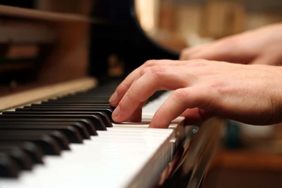 Lunch Cruise with Live Jazz on Sydney Harbour - Who should book this lunch cruise, and who should skip it