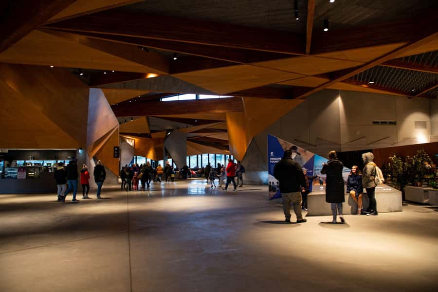 Luxury Phillip Island Tour for Families & Explorers 10 Max - From Melbourne pickup to Moonlit Sanctuary: the day gets moving