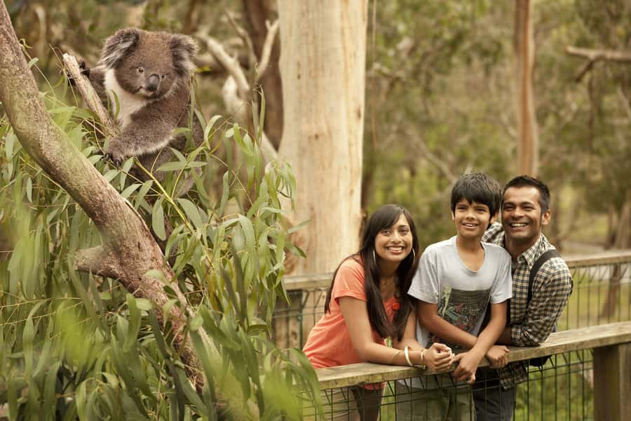 Luxury Phillip Island Tour for Families & Explorers 10 Max - Price and value: is $138 a person a fair deal?