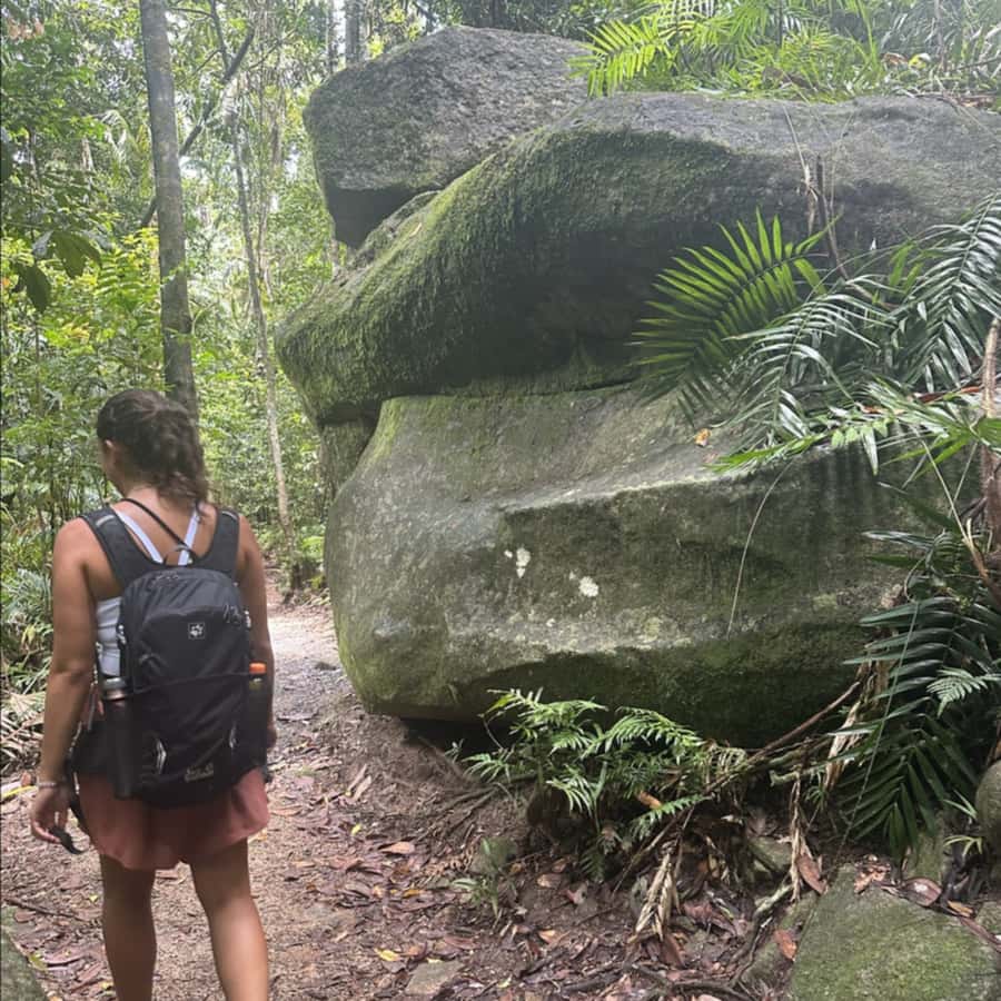 Mackay: Finch Hatton Gorge Hike, Swim & Platypus Adventure - Key Things That Make This Tour Worth Your Time