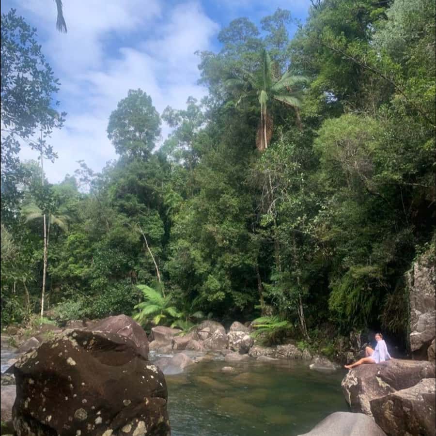 Mackay: Finch Hatton Gorge Hike, Swim & Platypus Adventure - Where This Day Trip Really Starts: West of Mackay in Sub-Tropical Rainforest