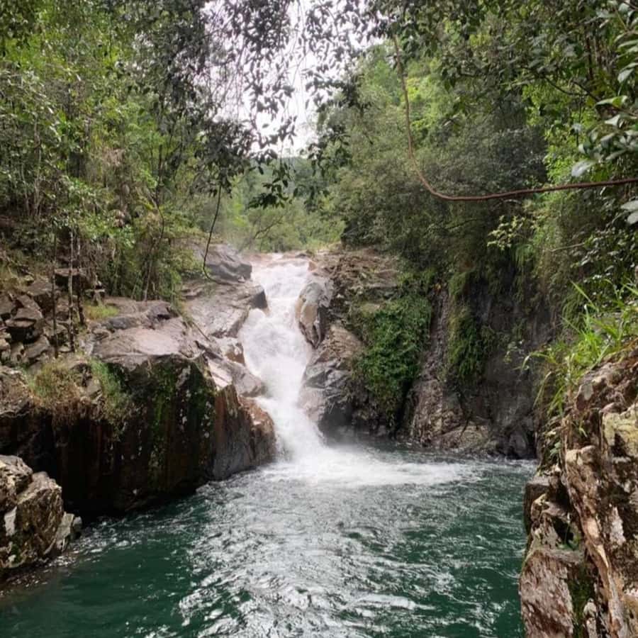 Mackay: Finch Hatton Gorge Hike, Swim & Platypus Adventure - Waterfall Rock Pool Swim: Bring Swimwear, But Keep Expectations Real
