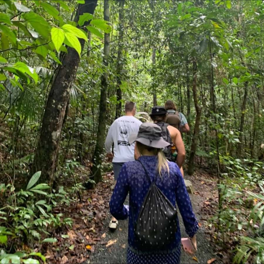 Mackay: Finch Hatton Gorge Hike, Swim & Platypus Adventure - Finch Hatton Gorge: The Hike to the Water Hole (and Why It Matters)