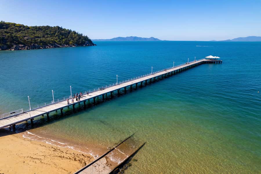 Magnetic Island: Behind the Scenes Tour - Picnic Bay Jetty: turtles, dugongs, and a calmer kind of coastline time