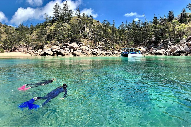 Magnetic Island Discovery Tour with Snorkeling & Paddle Boarding - Key things that make this tour work so well