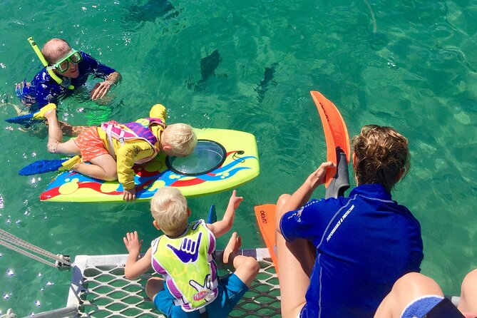 Magnetic Island Discovery Tour with Snorkeling & Paddle Boarding - Paddle boarding with included boards and pontoon breaks
