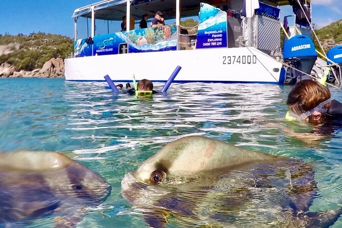 Magnetic Island Discovery Tour with Snorkeling & Paddle Boarding - Morning tea on a secluded beach: the break that keeps it from feeling rushed