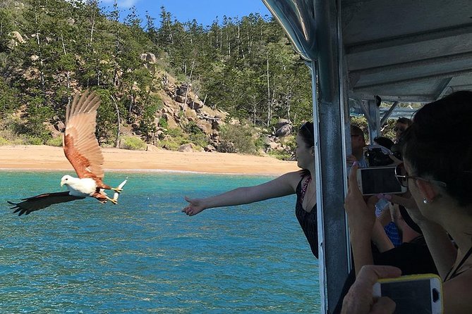 Magnetic Island Discovery Tour with Snorkeling & Paddle Boarding - Price and value: what $114.04 covers, and what it does not