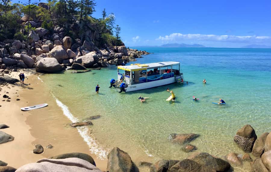 Magnetic Island: Snorkel Discovery Tour - Key points that make this tour worth your time