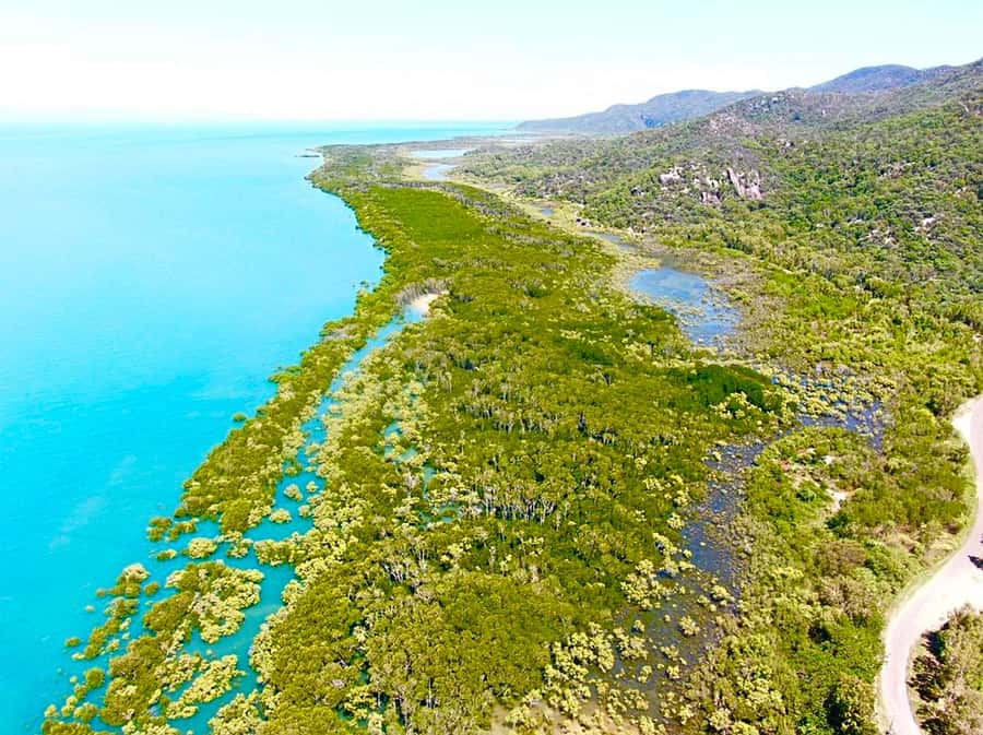 Magnetic Island: West Coast Eco Adventure Bus Tour - How the West Coast Eco Adventure feels different from the usual tour
