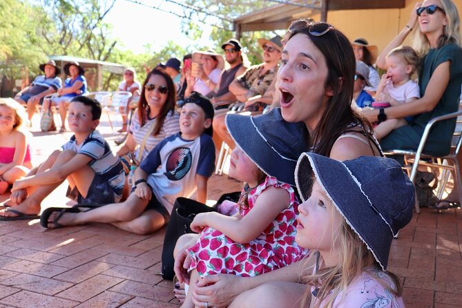 Malcolm Douglas Crocodile Park Tour Including Transportation - Why Malcolm Douglas Crocodile Park feels different from a typical croc stop