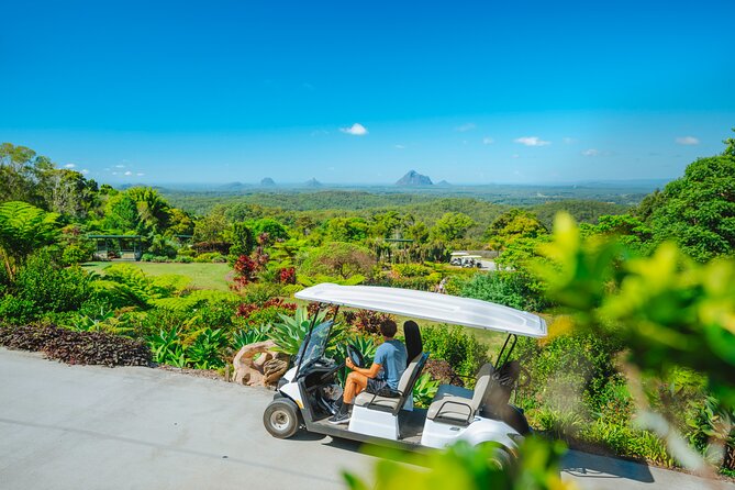 Maleny Botanic Gardens Bird Aviary Experience Ticket - Photo tips that make the whole visit easier