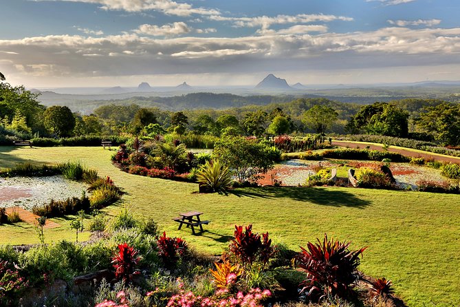Maleny Botanic Gardens Bird Aviary Experience Ticket - Price and value: why this ticket feels fair at about $33.71