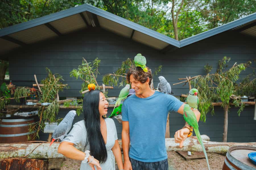 Maleny: Maleny Botanic Gardens & Bird World Entry Ticket - Key highlights you should know before you go