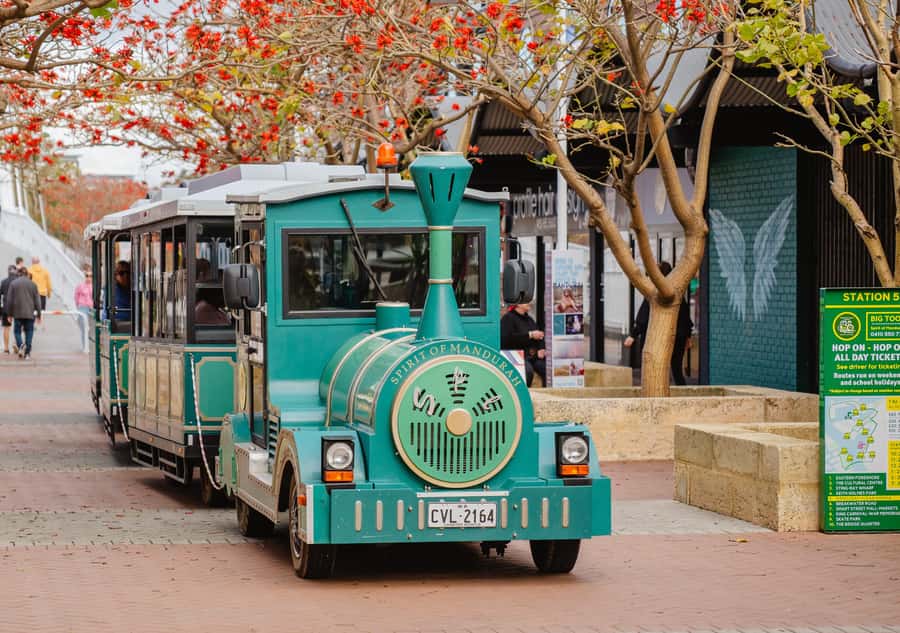 Mandurah: Big Toot 30 mins scenic tour - Key Things to Know Before You Ride Big Toot (Spirit of Mandurah)